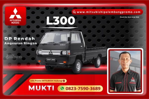 L300